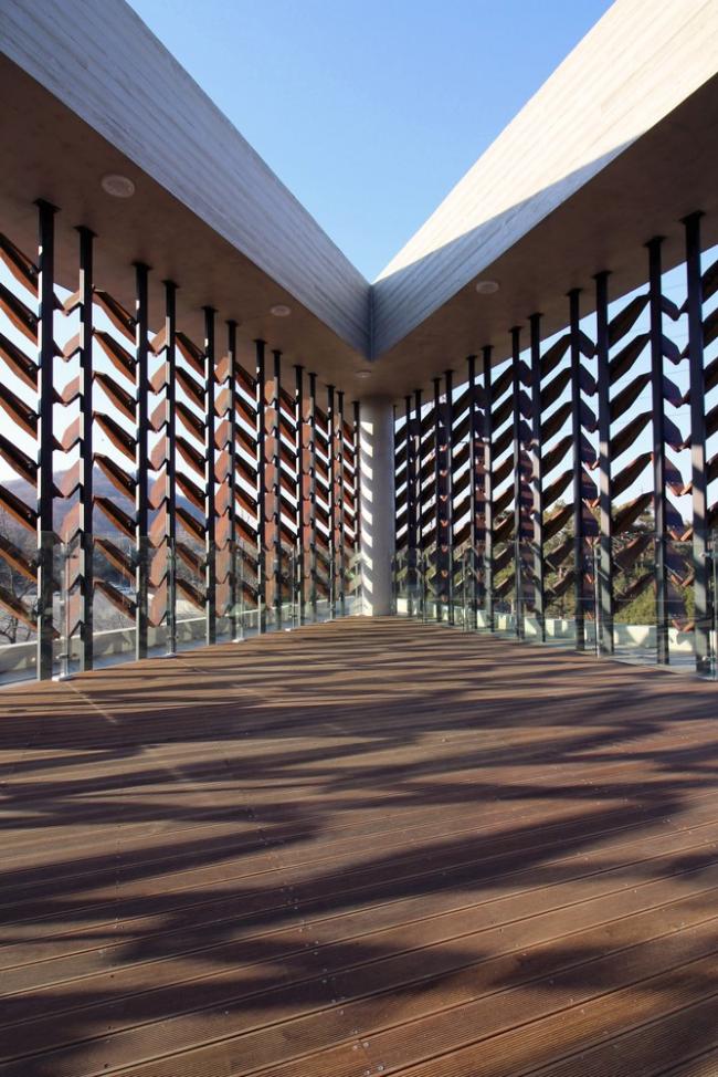 BIM建筑|光影斑驳,影随风动:韩国木材博物馆 BIM建筑|光影斑驳,影随风动:韩国木材博物馆
