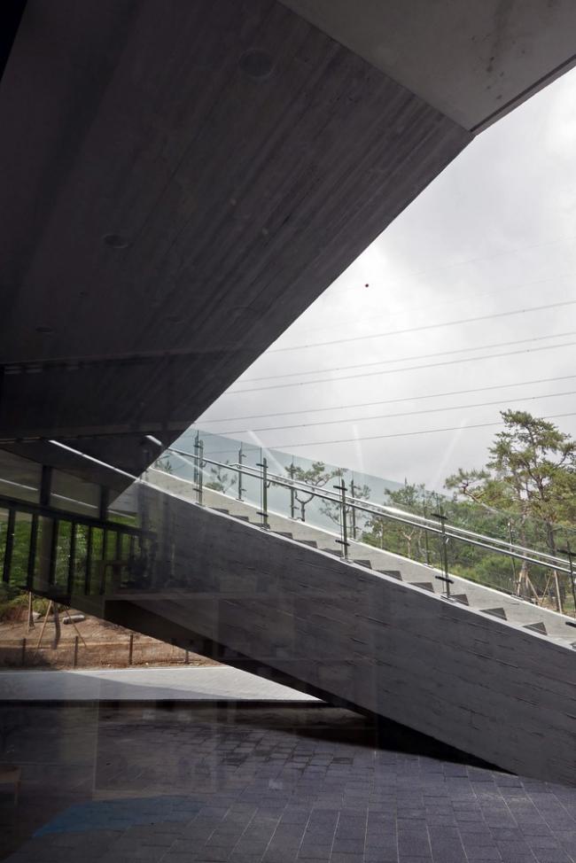 BIM建筑|光影斑驳,影随风动:韩国木材博物馆 BIM建筑|光影斑驳,影随风动:韩国木材博物馆