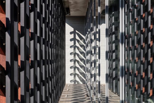 BIM建筑|光影斑驳,影随风动:韩国木材博物馆 BIM建筑|光影斑驳,影随风动:韩国木材博物馆