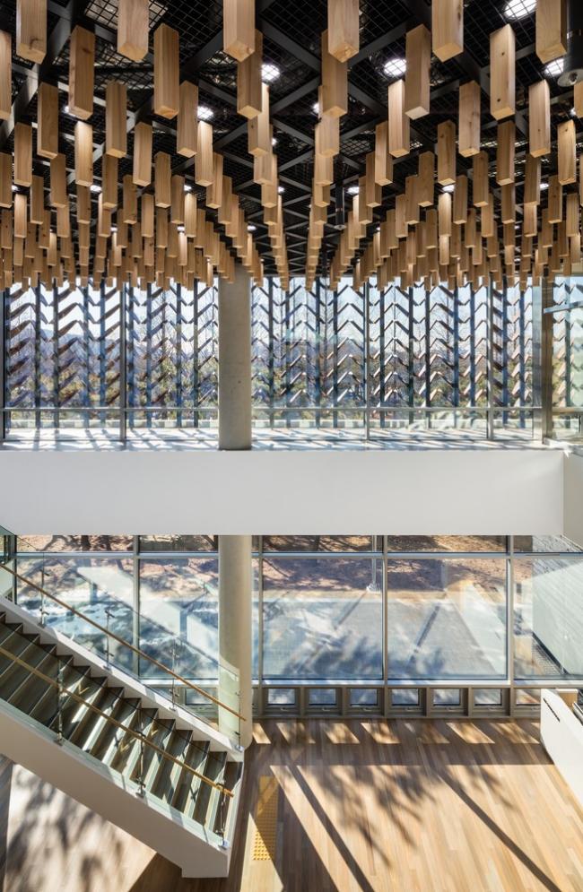 BIM建筑|光影斑驳,影随风动:韩国木材博物馆 BIM建筑|光影斑驳,影随风动:韩国木材博物馆