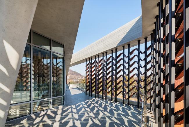 BIM建筑|光影斑驳,影随风动:韩国木材博物馆 BIM建筑|光影斑驳,影随风动:韩国木材博物馆