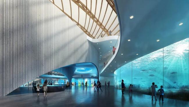 BIM建筑|Ennead 赢长江口中华鲟天然维护区国际比赛 BIM建筑|Ennead 赢长江口中华鲟天然维护区国际比赛