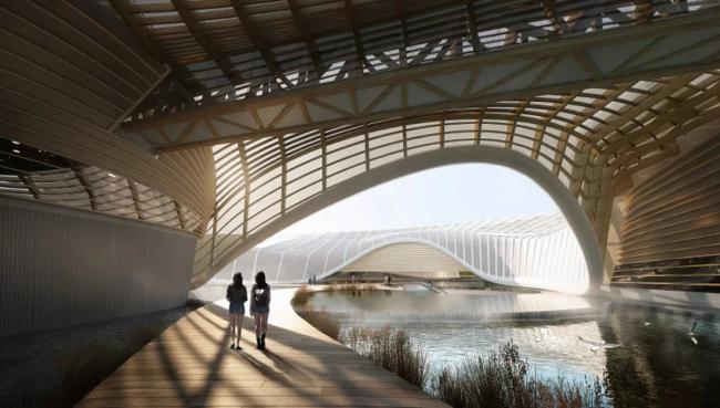 BIM建筑|Ennead 赢长江口中华鲟天然维护区国际比赛 BIM建筑|Ennead 赢长江口中华鲟天然维护区国际比赛