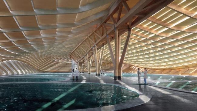 BIM建筑|Ennead 赢长江口中华鲟天然维护区国际比赛 BIM建筑|Ennead 赢长江口中华鲟天然维护区国际比赛