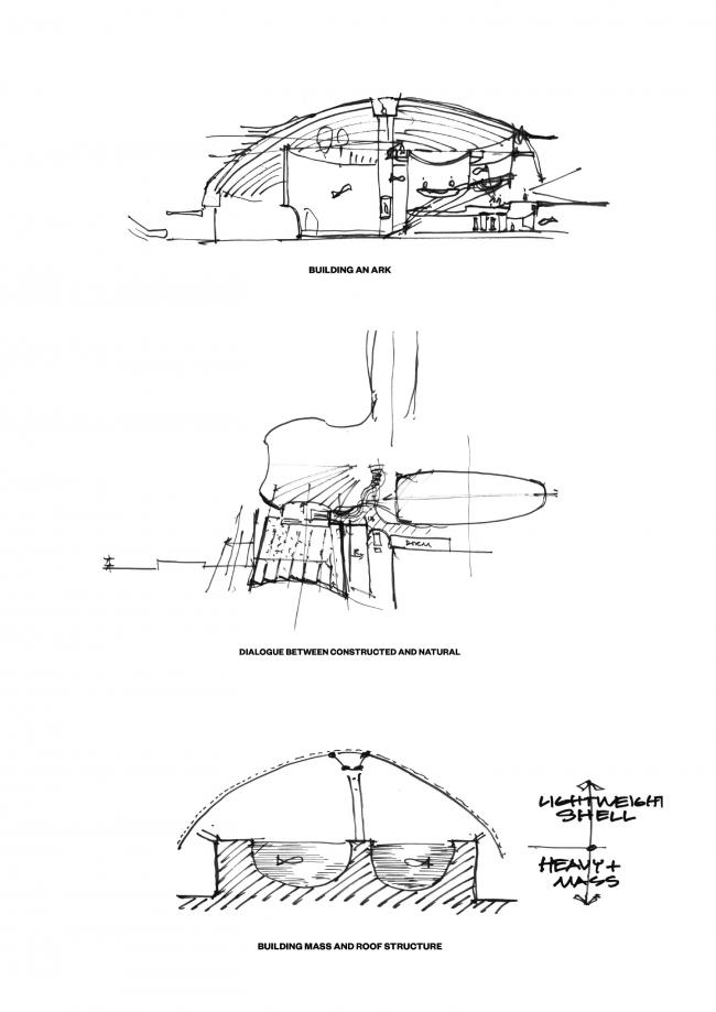 BIM建筑|Ennead 赢长江口中华鲟天然维护区国际比赛 BIM建筑|Ennead 赢长江口中华鲟天然维护区国际比赛
