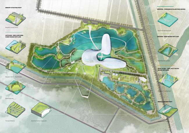 BIM建筑|Ennead 赢长江口中华鲟天然维护区国际比赛 BIM建筑|Ennead 赢长江口中华鲟天然维护区国际比赛