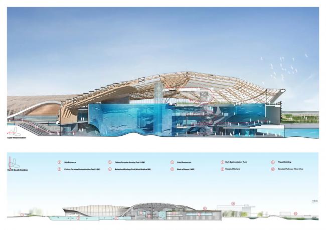 BIM建筑|Ennead 赢长江口中华鲟天然维护区国际比赛 BIM建筑|Ennead 赢长江口中华鲟天然维护区国际比赛