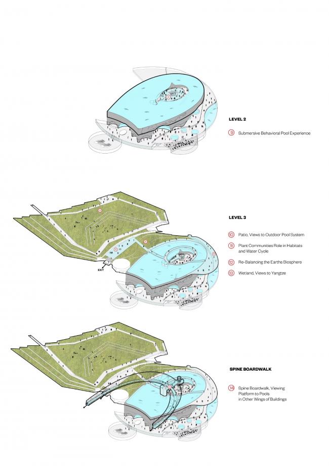 BIM建筑|Ennead 赢长江口中华鲟天然维护区国际比赛 BIM建筑|Ennead 赢长江口中华鲟天然维护区国际比赛