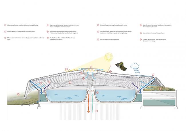 BIM建筑|Ennead 赢长江口中华鲟天然维护区国际比赛 BIM建筑|Ennead 赢长江口中华鲟天然维护区国际比赛