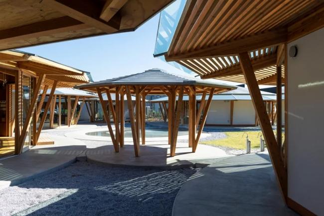 BIM建筑|手塚貴晴工作室:“木库幼儿园”——日式和伞下的光影丛林 BIM建筑|手塚貴晴工作室:“木库幼儿园”——日式和伞下的光影丛林