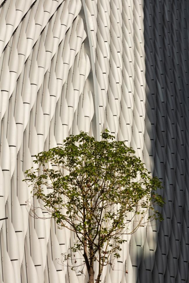 BIM建筑|喷鼻港戏曲中间 / Revery Architecture BIM建筑|喷鼻港戏曲中间 / Revery Architecture