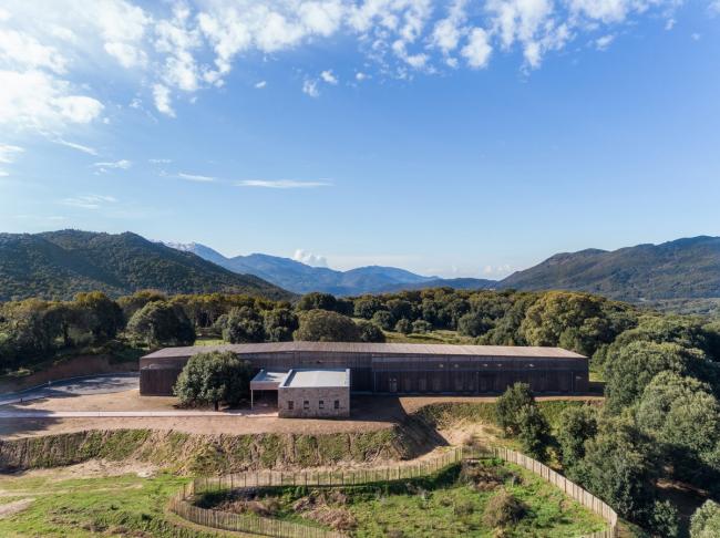 BIM建筑|橡树下远想:山的何处是什么?——法国村落黉舍 BIM建筑|橡树下远想:山的何处是什么?——法国村落黉舍