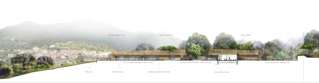 BIM建筑|橡树下远想:山的何处是什么?——法国村落黉舍 BIM建筑|橡树下远想:山的何处是什么?——法国村落黉舍