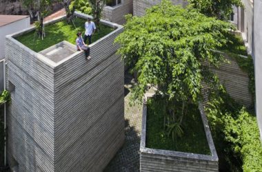 BIM建筑|仿佛暖和朴素的老旧记忆:树家 / 武重义建筑事务所-BIM建筑网