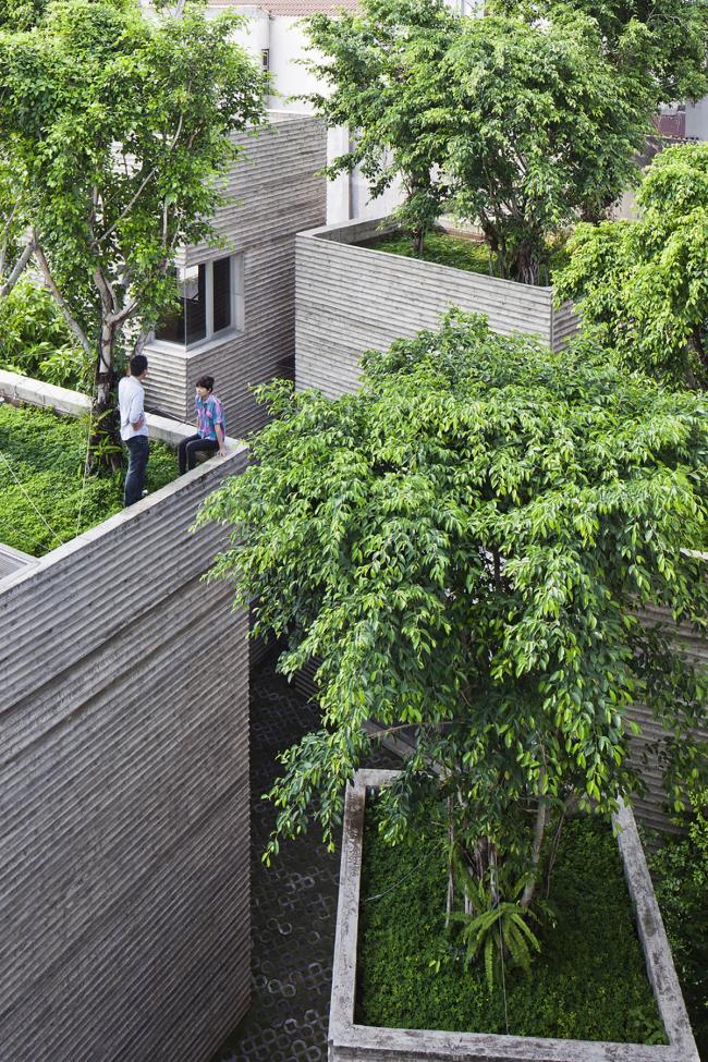 BIM建筑|仿佛暖和朴素的老旧记忆:树家 / 武重义建筑事务所 BIM建筑|仿佛暖和朴素的老旧记忆:树家 / 武重义建筑事务所
