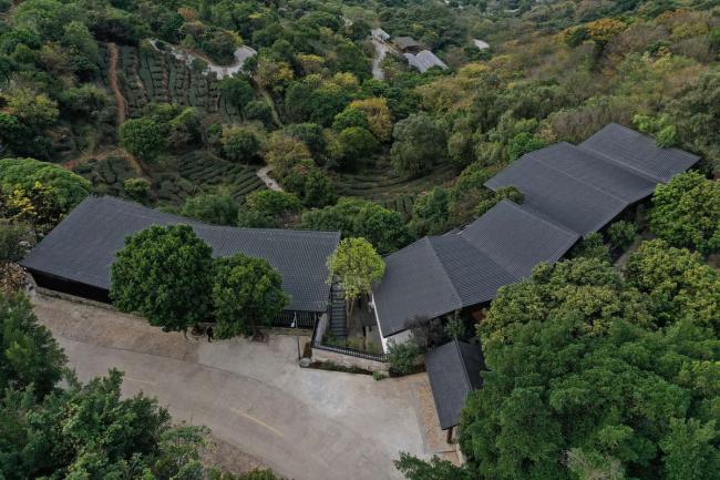 BIM建筑|茂林清泉,焚喷鼻喝茶:茶言不雅舍 / 是合设计工作室 BIM建筑|茂林清泉,焚喷鼻喝茶:茶言不雅舍 / 是合设计工作室