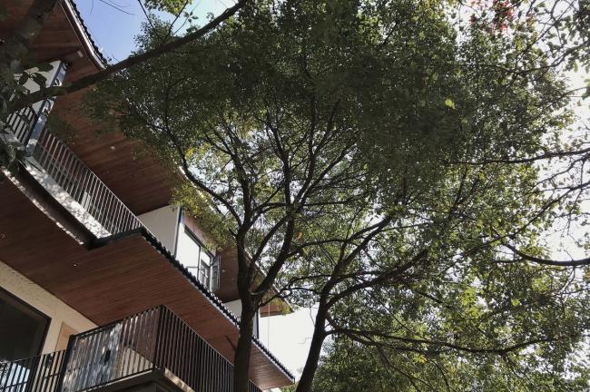 BIM建筑|茂林清泉,焚喷鼻喝茶:茶言不雅舍 / 是合设计工作室 BIM建筑|茂林清泉,焚喷鼻喝茶:茶言不雅舍 / 是合设计工作室