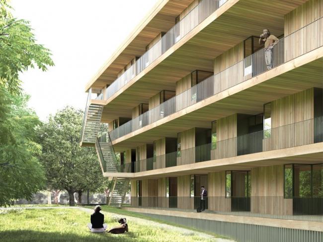 BIM建筑|NL Architects + STUDYO 为法兰克福设计梯田式经济实用房 BIM建筑|NL Architects + STUDYO 为法兰克福设计梯田式经济实用房