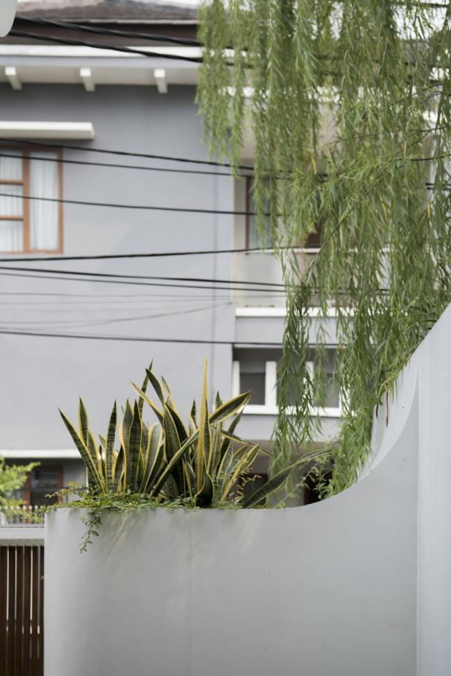 BIM建筑|别有洞天,柔和曲线勾画的纯白雕塑 BIM建筑|别有洞天,柔和曲线勾画的纯白雕塑