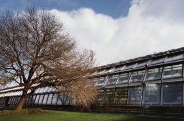 BIM建筑|Simonne-Mathieu 网球场,以水晶宫为灵感的温室球场-BIM建筑网