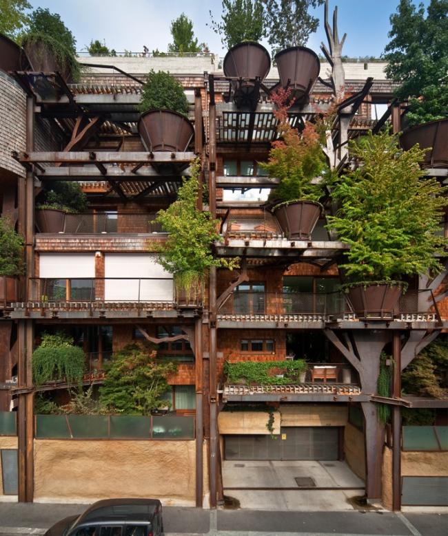 BIM建筑|仿佛穿越进魔法世界——葱茏的丛林“魔法”屋 BIM建筑|仿佛穿越进魔法世界——葱茏的丛林“魔法”屋