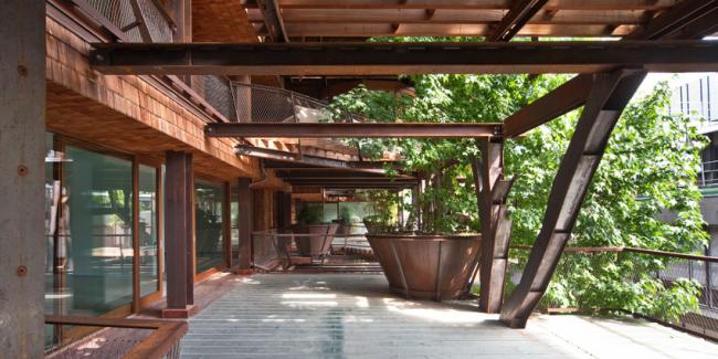 BIM建筑|仿佛穿越进魔法世界——葱茏的丛林“魔法”屋 BIM建筑|仿佛穿越进魔法世界——葱茏的丛林“魔法”屋