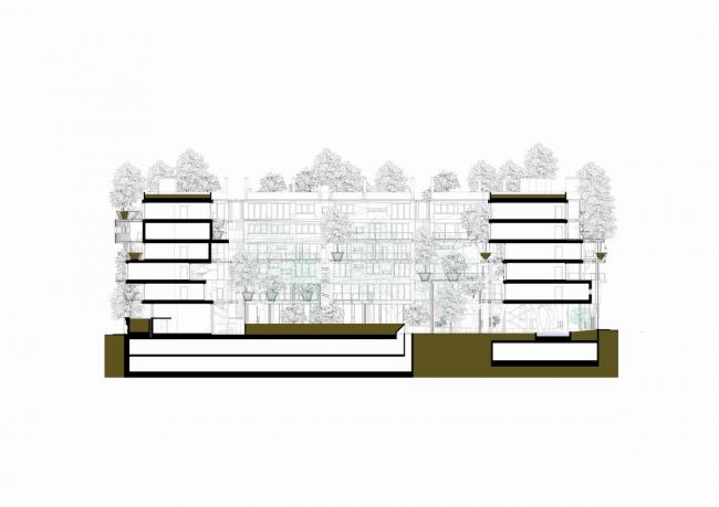BIM建筑|仿佛穿越进魔法世界——葱茏的丛林“魔法”屋 BIM建筑|仿佛穿越进魔法世界——葱茏的丛林“魔法”屋
