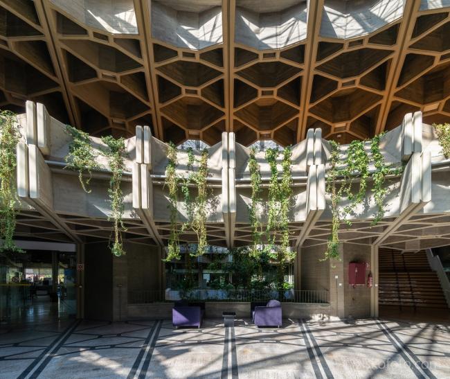 BIM建筑|摄影作品:“荆棘之冠” BIM建筑|摄影作品:“荆棘之冠”