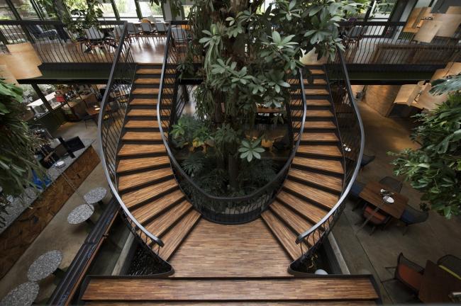 BIM建筑|条条木椽,仿佛从暗黑中涌来:植进天然的漂浮餐厅 BIM建筑|条条木椽,仿佛从暗黑中涌来:植进天然的漂浮餐厅