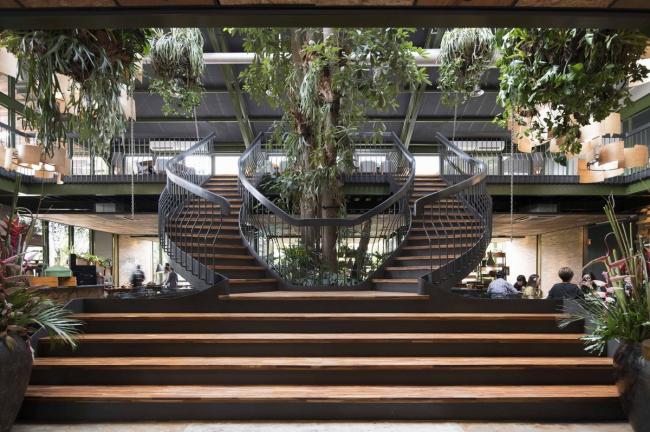 BIM建筑|条条木椽,仿佛从暗黑中涌来:植进天然的漂浮餐厅 BIM建筑|条条木椽,仿佛从暗黑中涌来:植进天然的漂浮餐厅