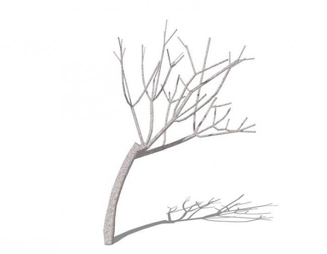 Sketchup素材模型|3D枯树,树枝,植物树 Sketchup素材模型|3D枯树,树枝,植物树
