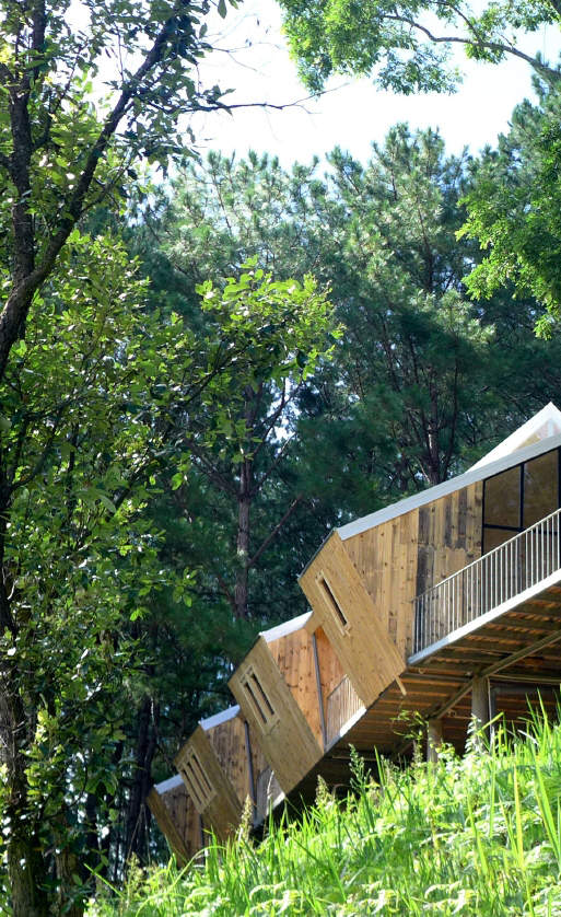 BIM建筑|阔别喧哗,隐于茂林山谷的寄宿行政办公室 BIM建筑|阔别喧哗,隐于茂林山谷的寄宿行政办公室