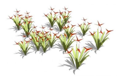 Sketchup素材模型|地被植物,灌木花草,景观素材组件-BIM建筑网