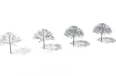 Sketchup素材模型|2D水彩树,植物树,景观树,手绘树,景观素材组件-BIM建筑网