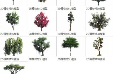 Sketchup素材模型|2D植物树,景观素材组件-BIM建筑网