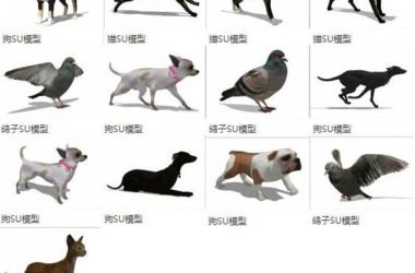 Sketchup素材模型|动物,猫狗,鸽子,模型素材组件-BIM建筑网