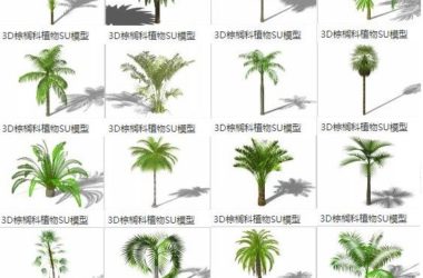 Sketchup素材模型|3D植物,棕榈树 ,椰子树,景观素材组件-BIM建筑网