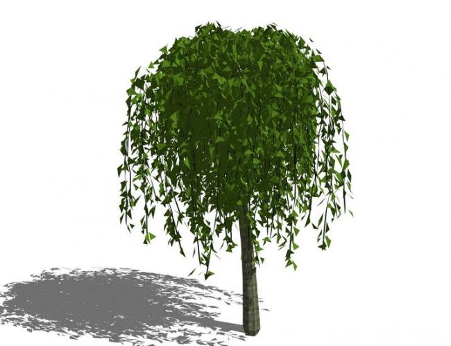 Sketchup素材模型|植物树,景观素材组件 Sketchup素材模型|植物树,景观素材组件