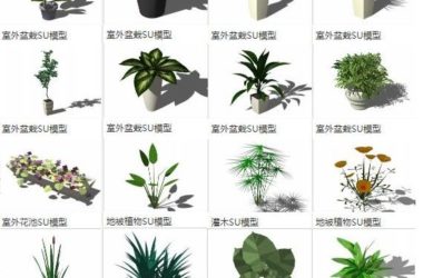 Sketchup素材模型|室外盆栽盆景花池,地被植物灌木,景观素材组件-BIM建筑网