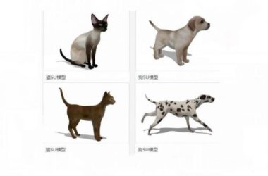 Sketchup素材模型|猫狗,动物,素材组件模型-BIM建筑网
