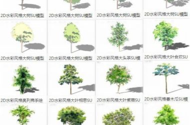 Sketchup素材模型|2D水彩风格植物树,景观素材组件-BIM建筑网