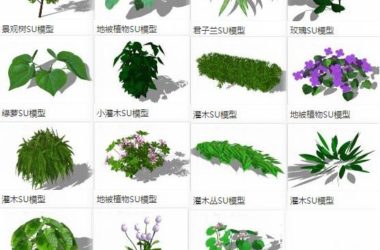 Sketchup素材模型|地被植物,树,灌木,景观素材组件-BIM建筑网