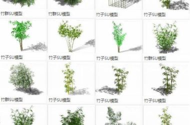 Sketchup素材模型|竹子竹叶竹枝竹群,植物景观素材组件-BIM建筑网