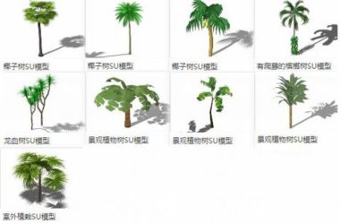 Sketchup素材模型|3D植物树,棕榈科,景观素材组件-BIM建筑网