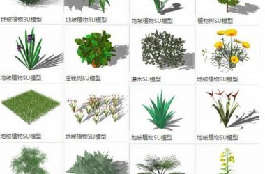 Sketchup素材模型|地被植物,树,景观素材组件-BIM建筑网