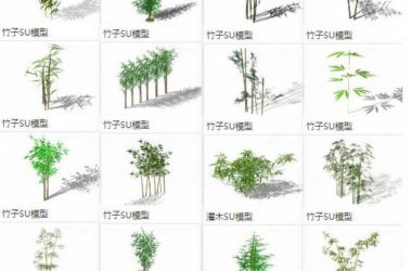 Sketchup素材模型|竹子竹叶竹枝竹群,植物景观素材组件-BIM建筑网