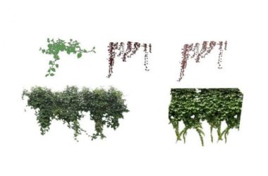 Sketchup素材模型|爬藤，灌木植物，景观素材组件-BIM建筑网
