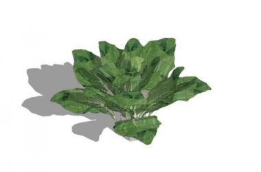 Sketchup素材模型|蔬菜景观素材组件-BIM建筑网