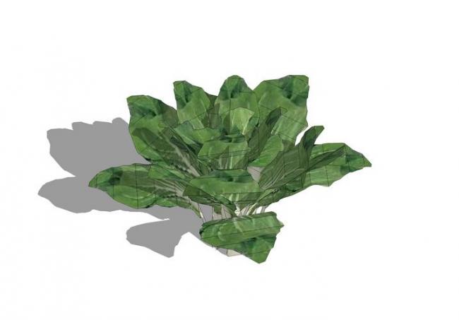 Sketchup素材模型|蔬菜景观素材组件 Sketchup素材模型|蔬菜景观素材组件