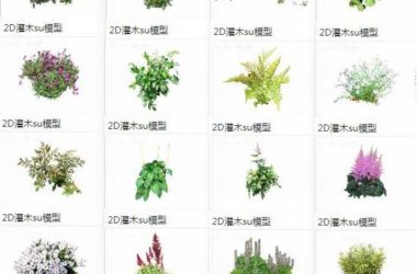 Sketchup素材模型|2d植物灌木花草，景观素材组件-BIM建筑网